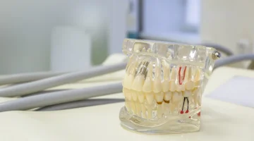 Стоматологическая клиника Занифдент изображение 11